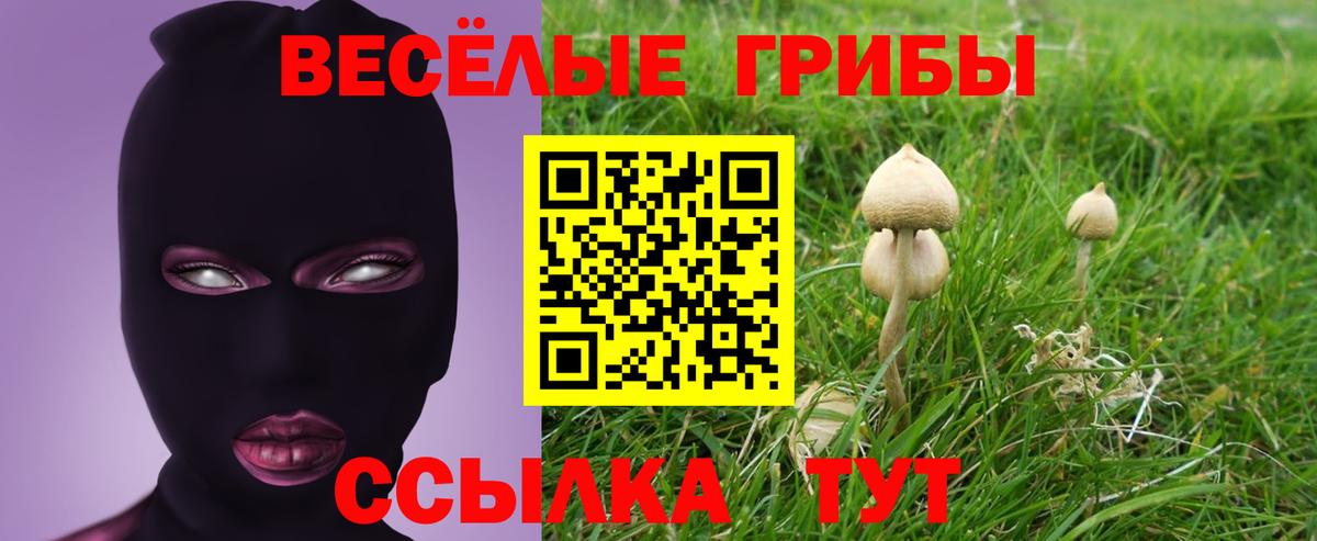 Галлюциногенные грибы прущие грибы Бахчисарай