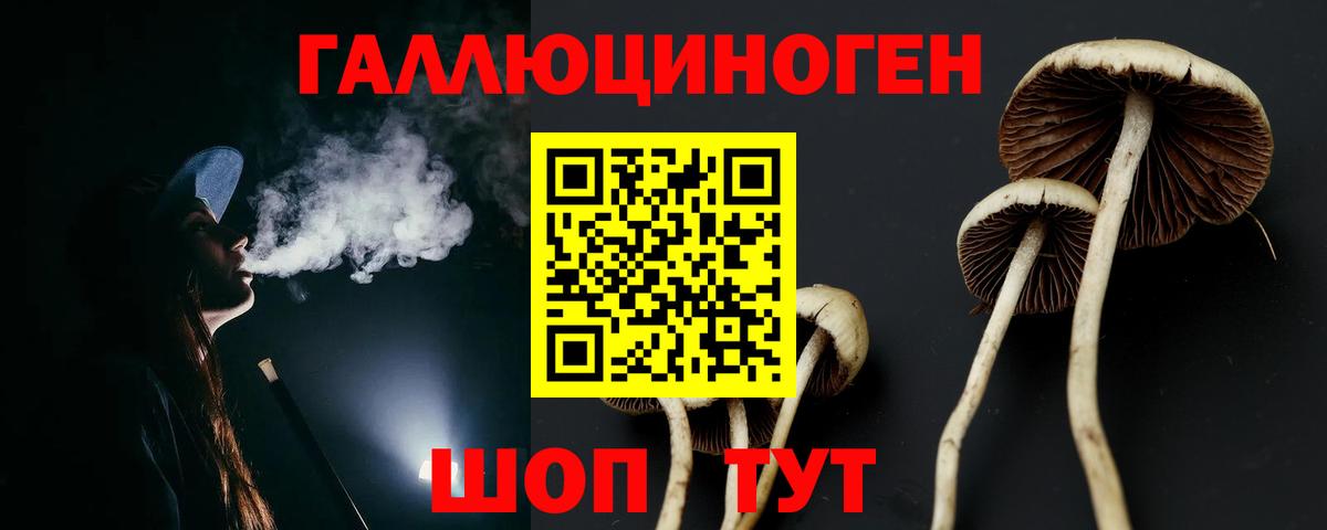Псилоцибиновые грибы Magic Shrooms  Вход с VPN  как найти наркотики  Бахчисарай 